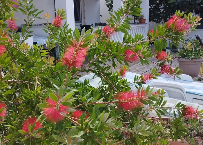 Апартаменты Vestweber